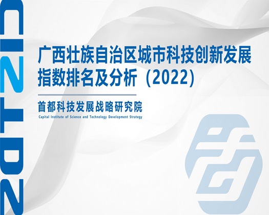 大屌喜欢操骚逼网站【成果发布】广西壮族自治区城市科技创新发展指数排名及分析（2022）